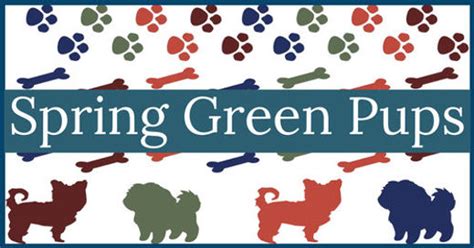 Spring green pups - 